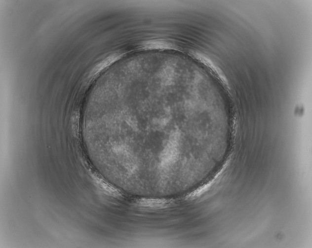 X0000094820825200711301628