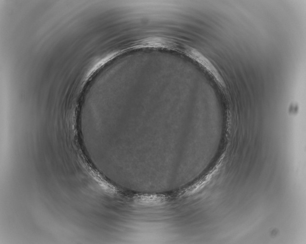 X0000094820826200711301628