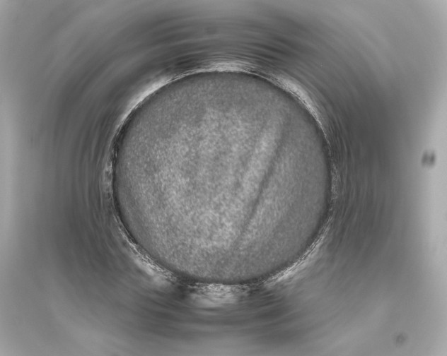 X0000094820827200711301628