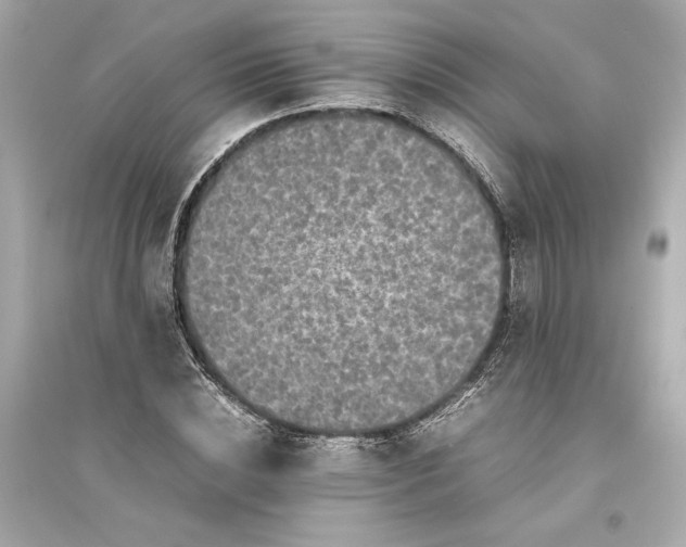 X0000094820828200711301628