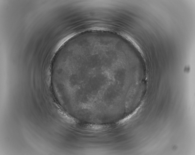 X0000094820829200711301628