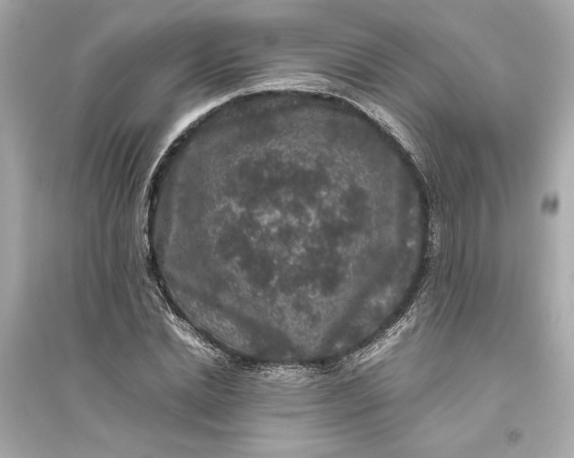 X0000094820830200711301628