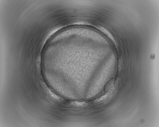 X0000094820831200711301628