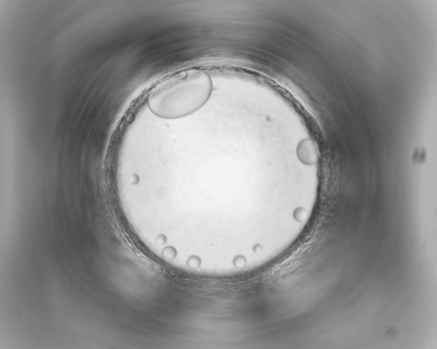 X0000094820832200711301628