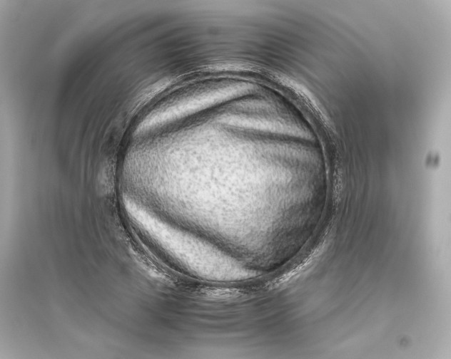 X0000094820833200711301628