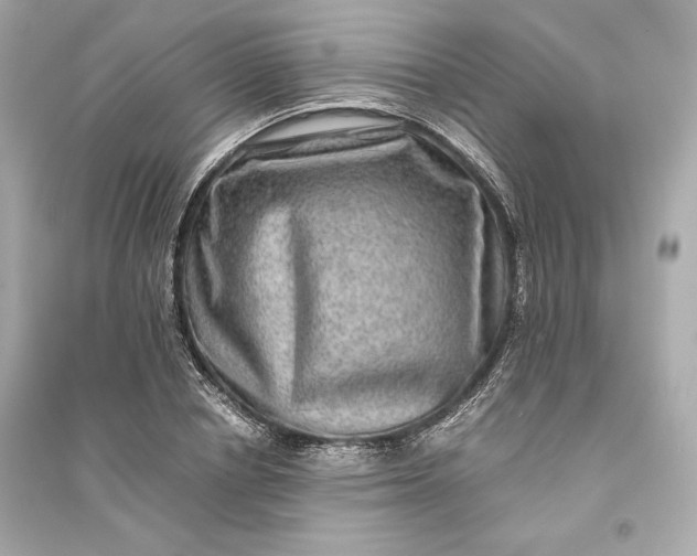 X0000094820834200711301628