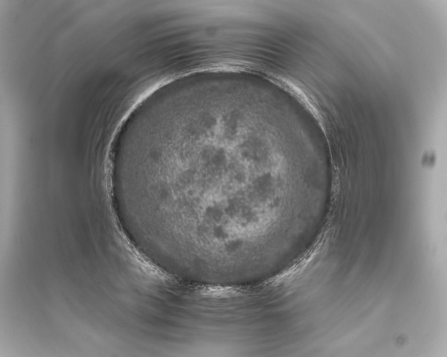 X0000094820835200711301628