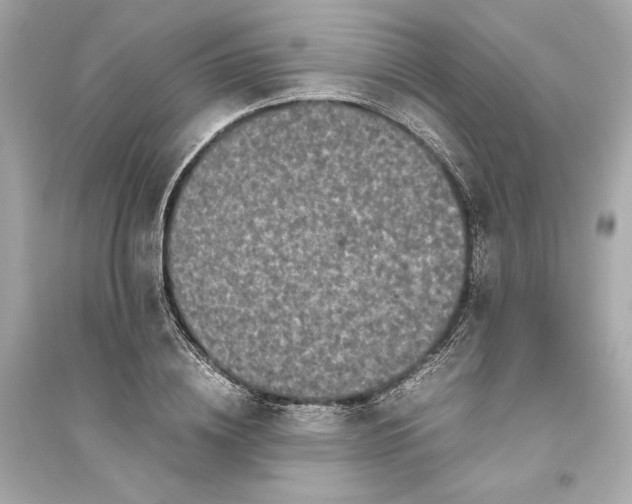 X0000094820836200711301628