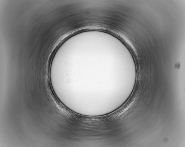 X0000094820837200711301628