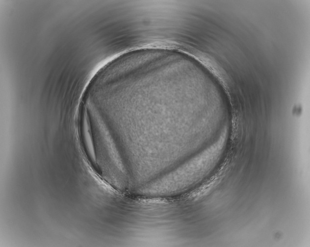 X0000094820838200711301628