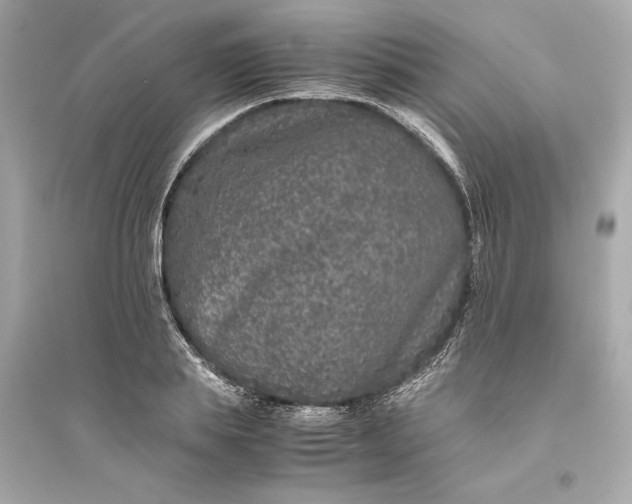 X0000094820839200711301628