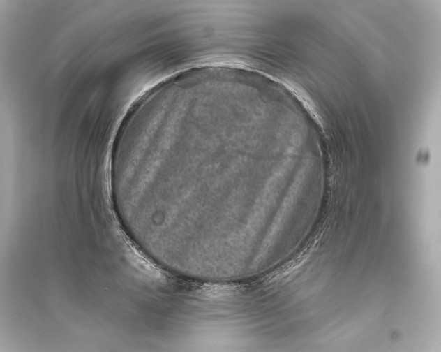 X0000094820840200711301628