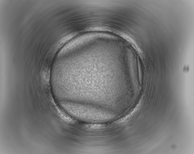 X0000094820841200711301628