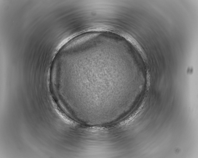 X0000094820842200711301628