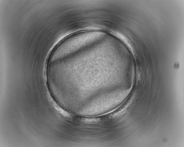 X0000094820843200711301628