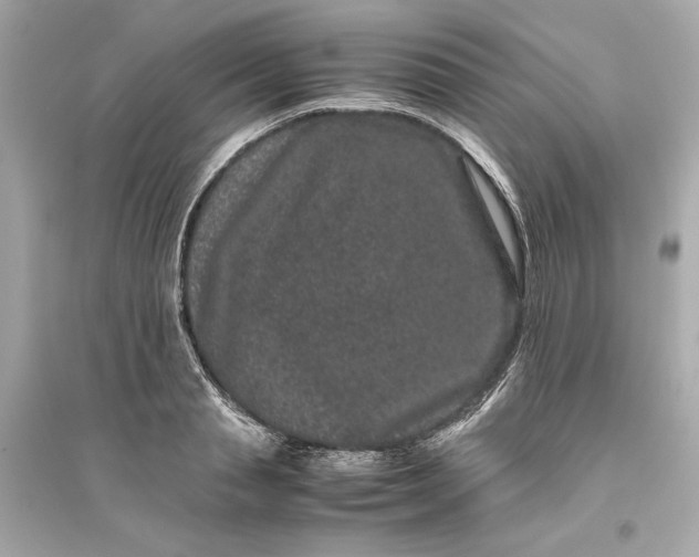 X0000094820845200711301628