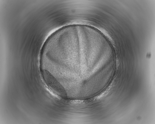 X0000094820846200711301628