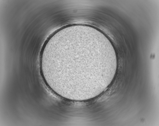 X0000094820848200711301628