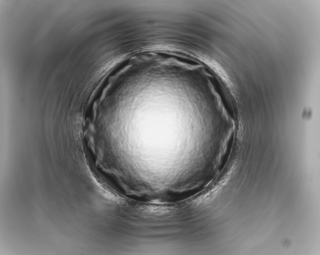 X0000094820849200711301628