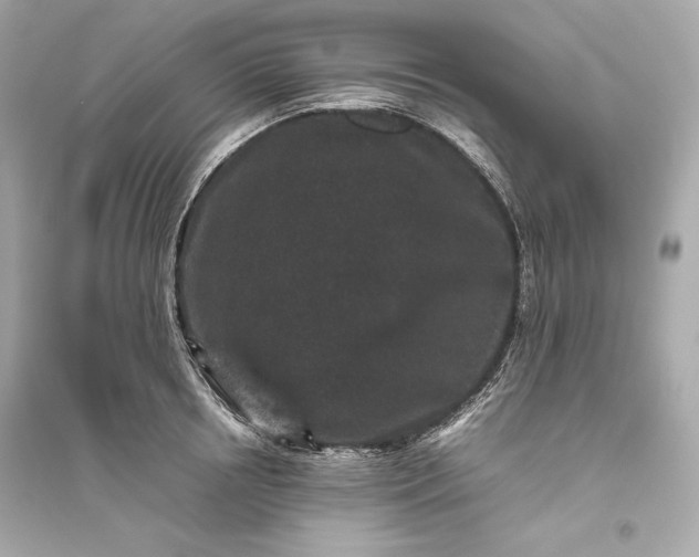 X0000094820850200711301628