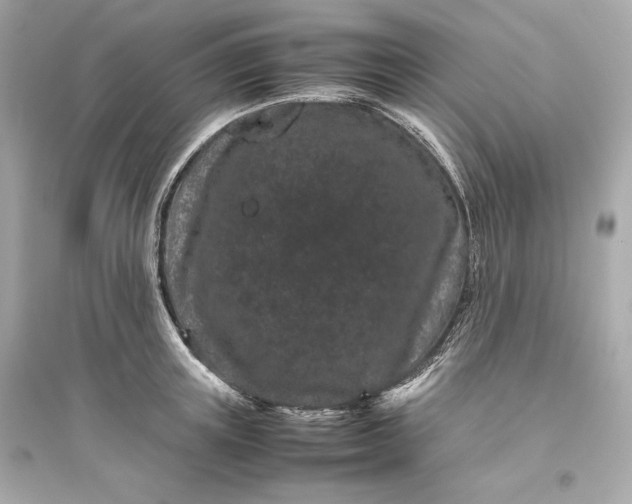 X0000094820851200711301628