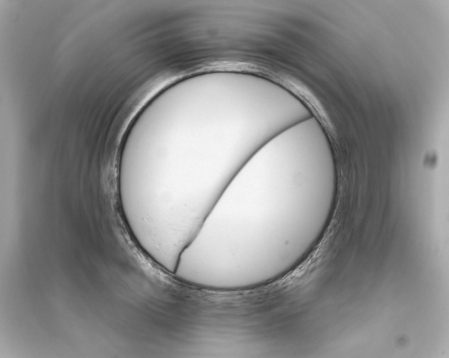 X0000094820852200711301628