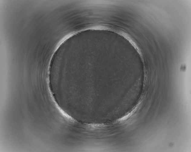 X0000094820853200711301628