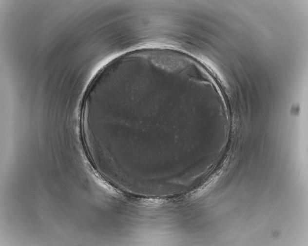 X0000094820854200711301628