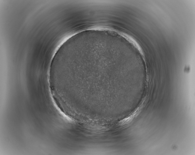 X0000094820855200711301628