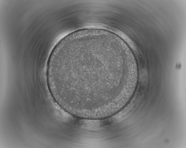 X0000094820856200711301628