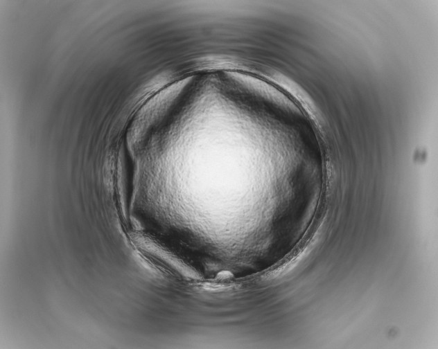 X0000094820857200711301628