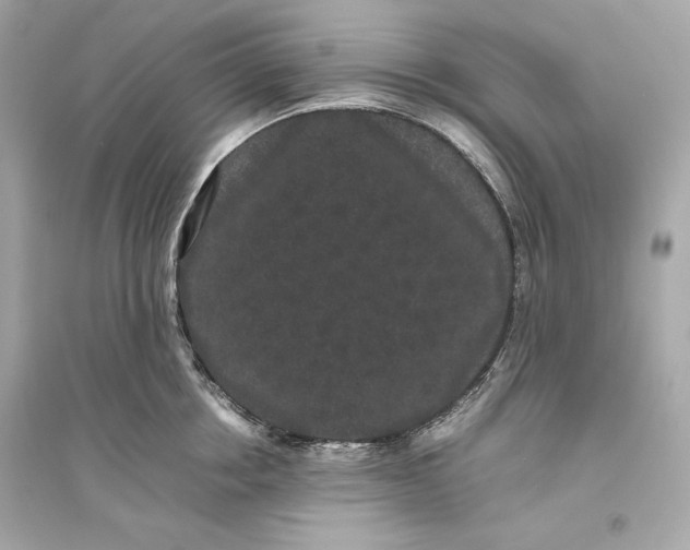 X0000094820858200711301628