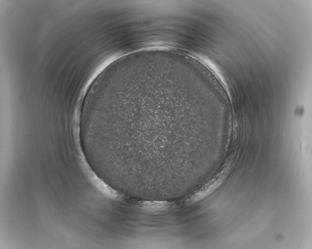 X0000094820859200711301628