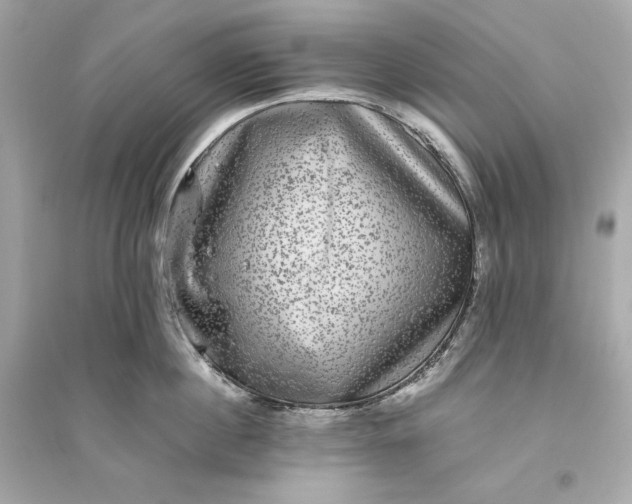 X0000094820860200711301628