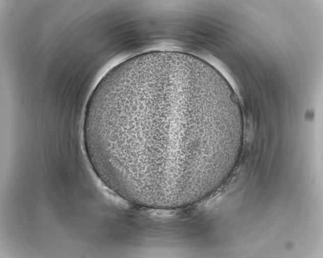 X0000094820861200711301628