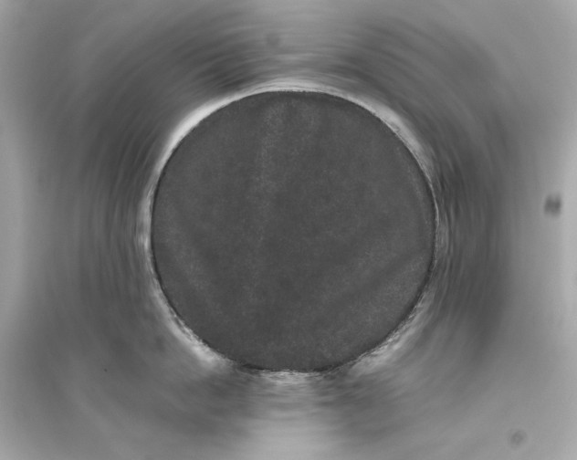 X0000094820862200711301628