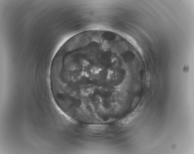 X0000094820863200711301628