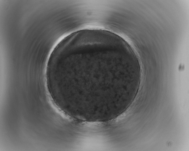 X0000094820864200711301628