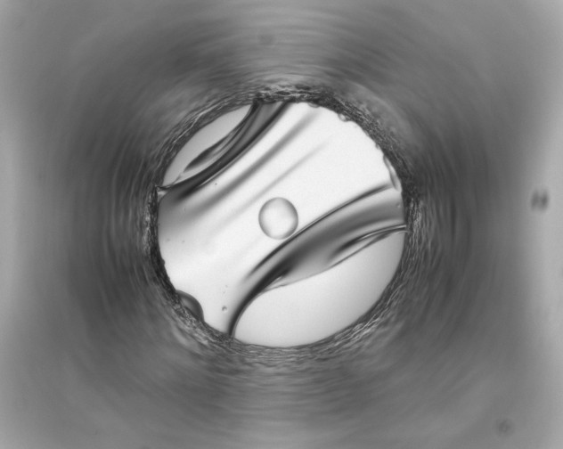 X0000094820868200711301627