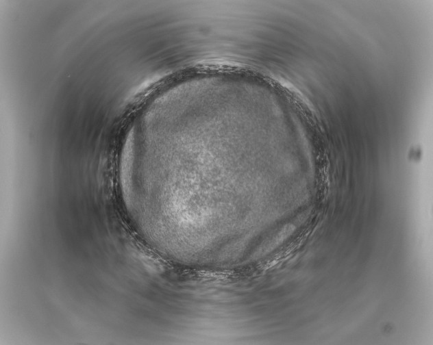 X0000094820870200711301627