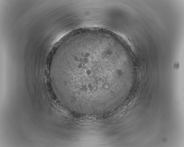 X0000094820871200711301627