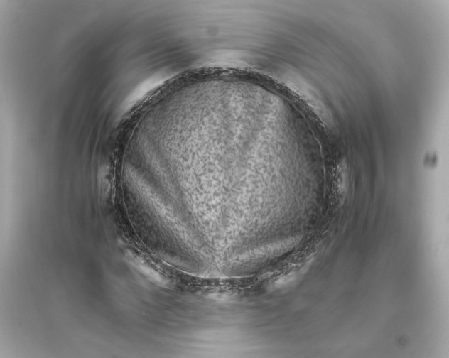 X0000094820872200711301627