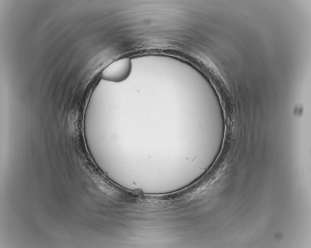 X0000094820873200711301627