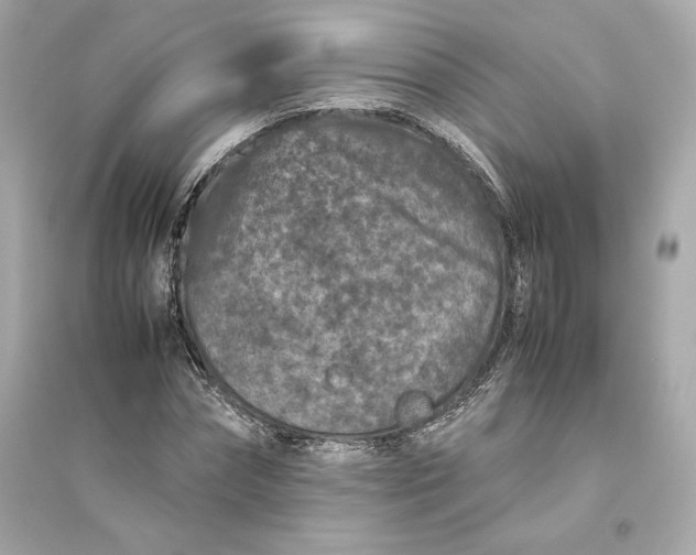 X0000094820874200711301627