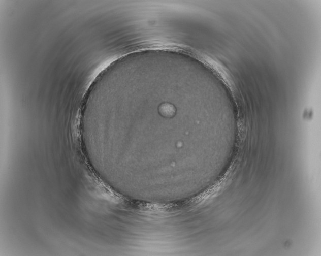 X0000094820875200711301627