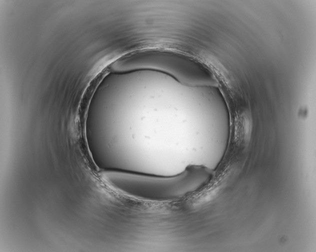 X0000094820876200711301627