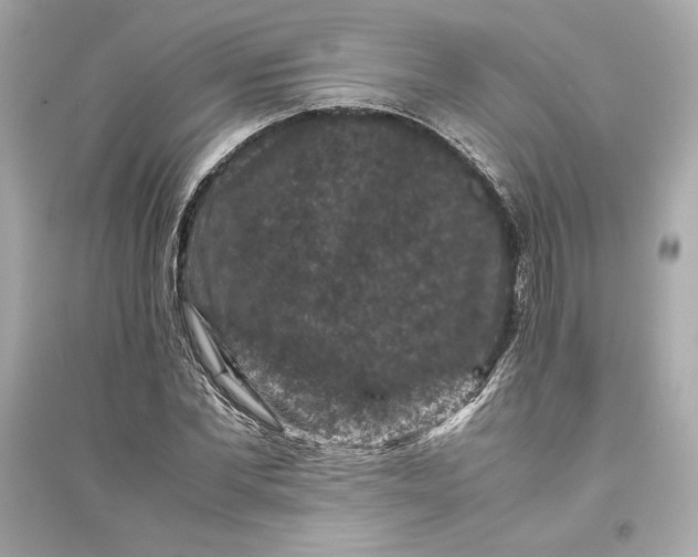 X0000094820877200711301627