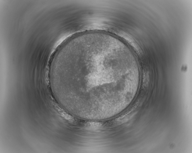 X0000094820878200711301627