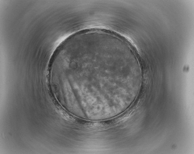 X0000094820879200711301627