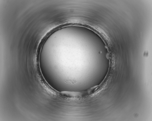 X0000094820880200711301627